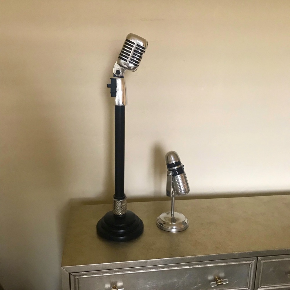 Fun microphone accessories